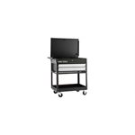 GRAY TOOLS 97502B - MARQUIS SERIES UTILITY CART WITH 2 DRAWERS